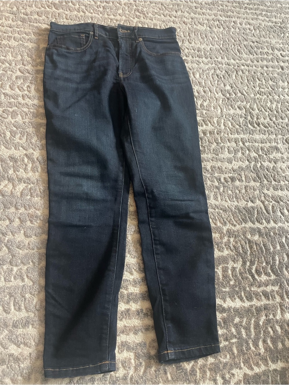 Everlane Indigo Skinny Jeans